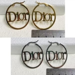 Dior Earring NO:AA641 Material:stainless