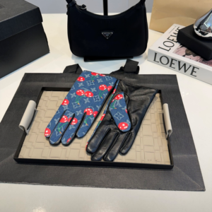 Louis vuitton Gloves NO:WS324 Material: