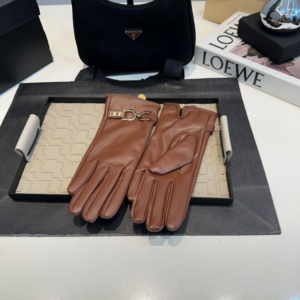 Dior Gloves NO:WS319 Material: