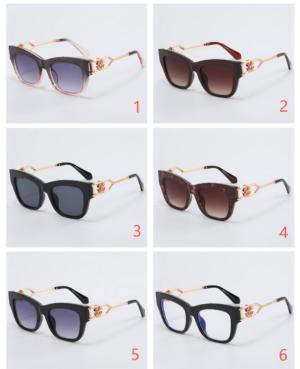 Roberto cavalli Sunglass NO:ZEXY6004 Material:Pc Resin