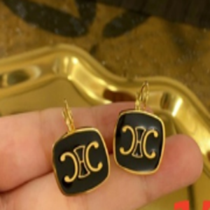Celine Earring NO:A332 Material:Stainless