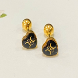 Celine Earring NO:A376 black Material:Stainless