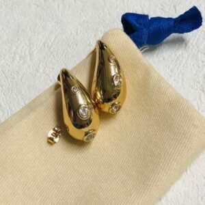 Bvlgari Earring NO:A562 Material:Stainless