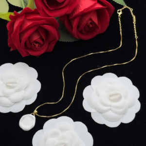 Bottega veneta Necklace NO:Y144207 Material:copper+18k gold
