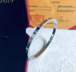 Cartier Bangle NO:16-20-2 Material:Stainless（316）